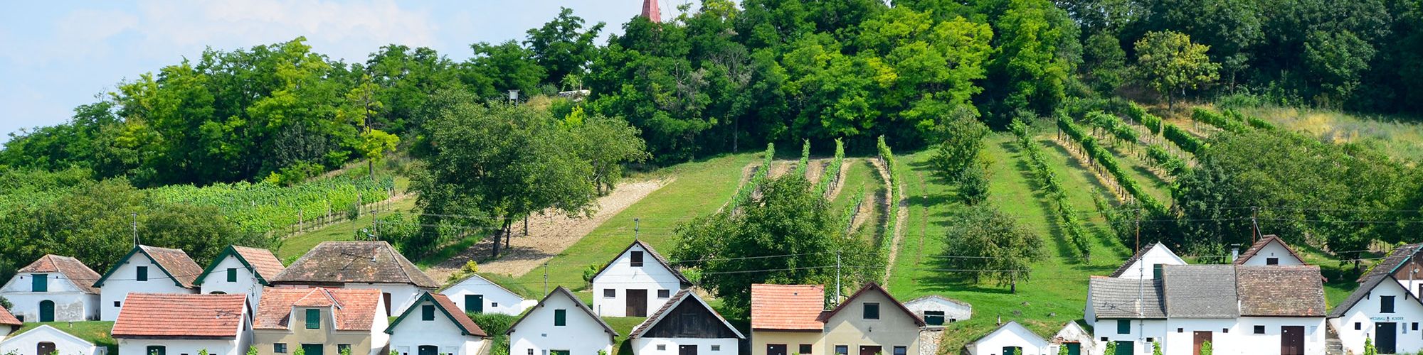 Wildendürnbach, Galgenberg - © Erwin Kober